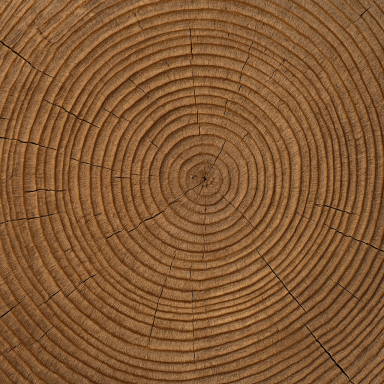 Prinzipien & Ordnung